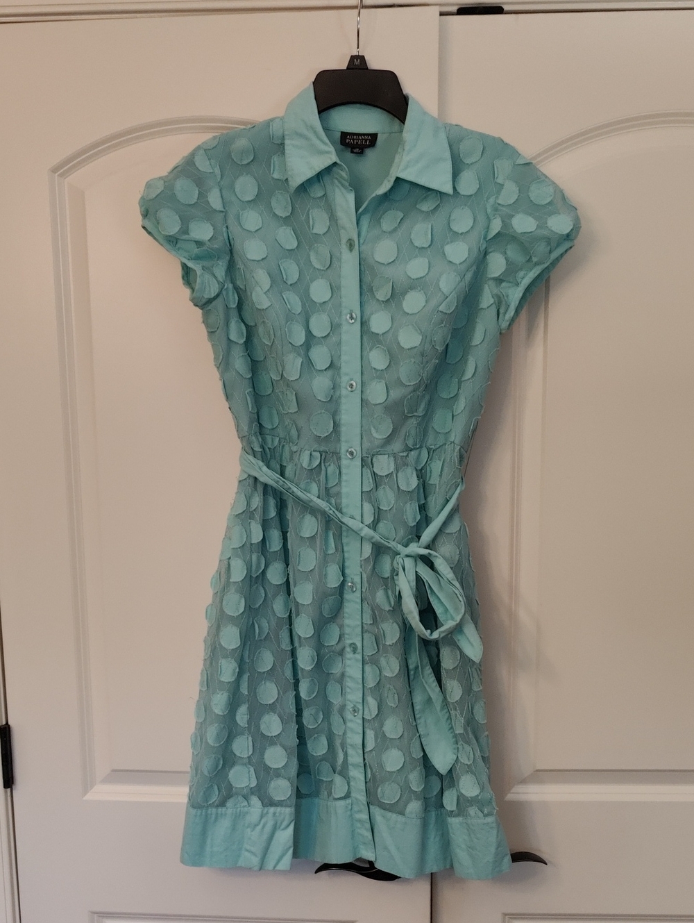 Adrianna Papell Dress Baby Blue  Polka Dot Button Up